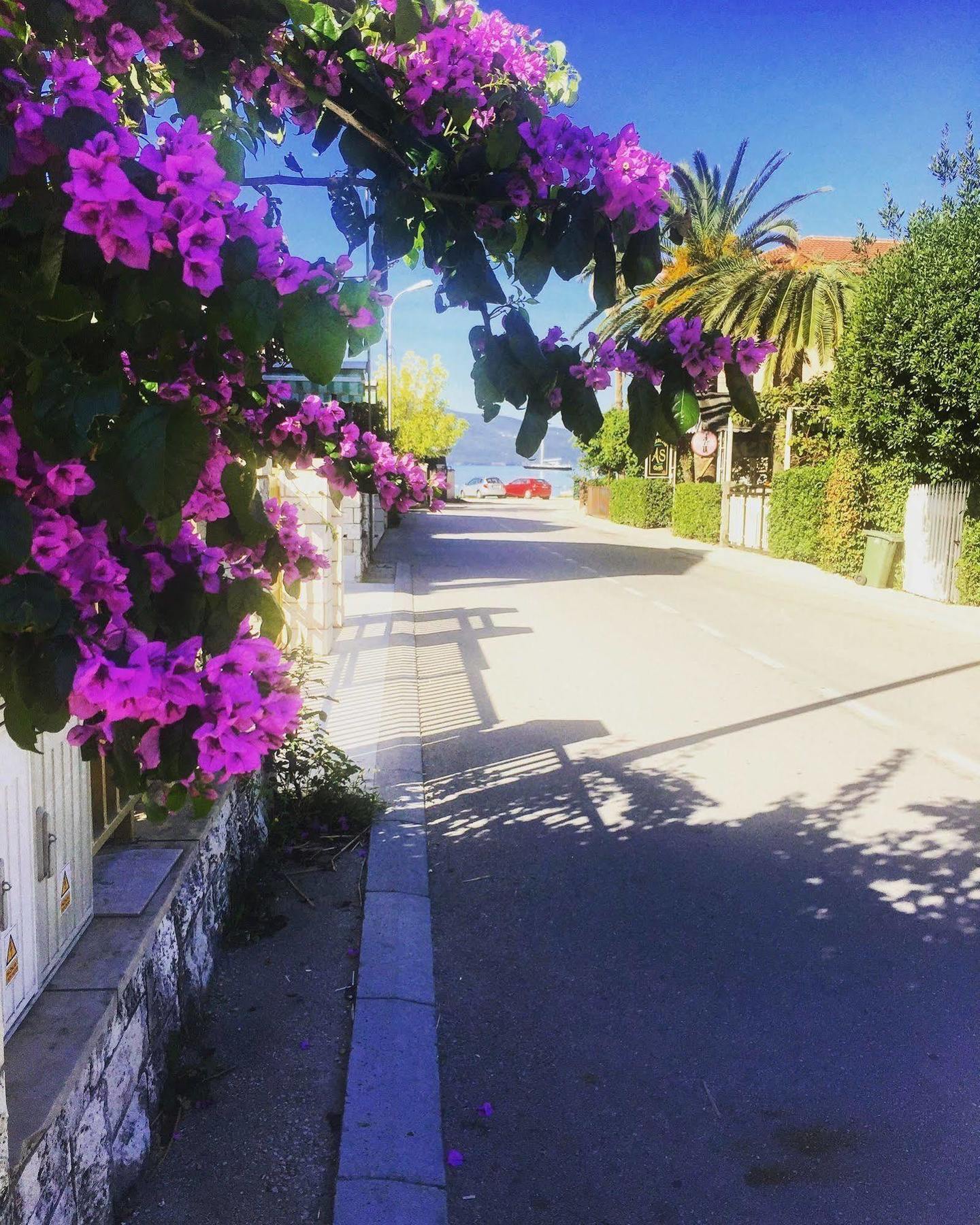 Hotel Splendido Bay Tivat Exterior photo